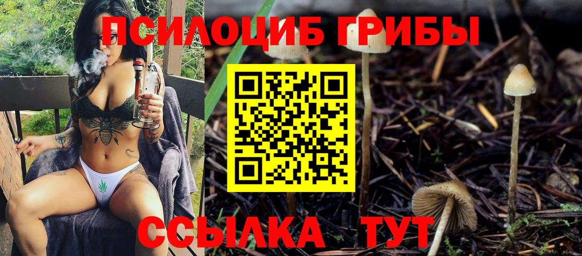 Псилоцибиновые грибы прущие грибы  цена   Пермь  Галлюциногенные грибы Psilocybe  Вход с VPN 